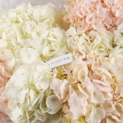 buket nezhnyh gortenzij  7